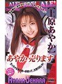 ミニ系 小柄あやか売ります 上原あやか